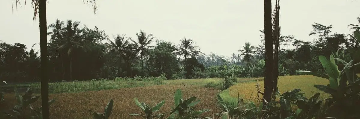 Where Nature, Culture & Serenity Come Together